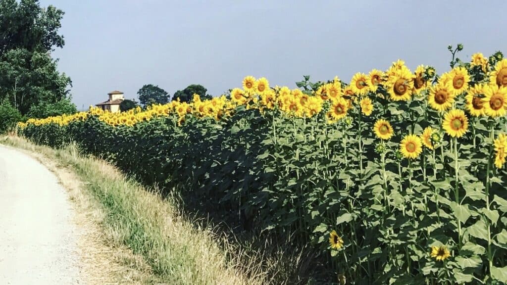 best time to visit tuscany