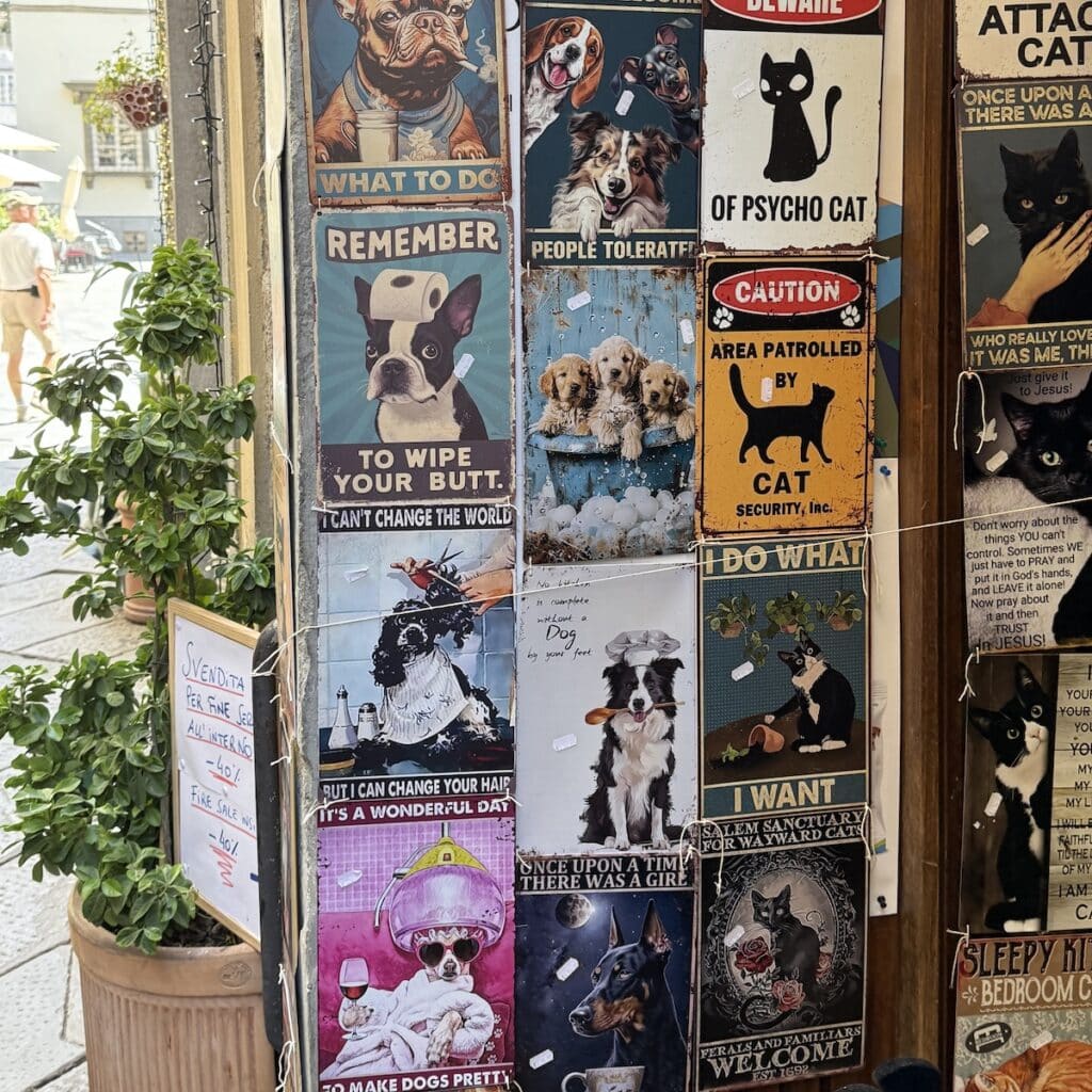 flying from the us to Italy with a dog